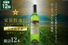 ワイン 白 辛口 定期便 12回 サッポロ グランポレール 安曇野池田ヴィンヤード「シャルドネ」750ml 総計12本 白ワイン ギフト プレゼント 贈答 / 池田町ハーブセンター / 長野県 池田町 [48110572]