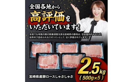 豚肉 【令和8年2月発送】宮崎県産豚ロースしゃぶしゃぶ 2.5kg (500g×5) 【 豚肉 豚 肉 国産 うす切り スライス 】 ☆[C00661r802]