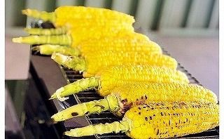 【2026年発送】【お試し】朝採り直送 メロンより甘い 生とうもろこし“にっこりコーン” 3本 H095-028