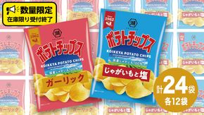 湖池屋 ポテトチップス 2種類アソート （じゃがいもと塩・ガーリック）（各12袋・計24袋） ポテチ お菓子 おかし 大量 スナック おつまみ ジャガイモ じゃがいも まとめ買い スナック菓子 数量限定 [DA045us]