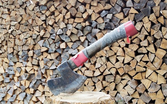 1年間乾燥済 薪7kg /// 薪 杉 乾燥済 焚き火 キャンプ 暖炉 針葉樹