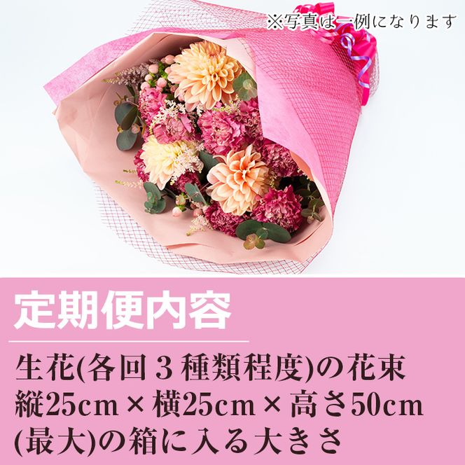 【1005901b】＜定期便・全5回＞季節の花束/イベントギフトセット！花 花束 フラワー バレンタイン 母の日 敬老の日 クリスマス 正月 贈り物 贈答【東串良物産館ルピノンの里】