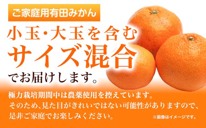 ＜先行予約＞家庭用 完熟 有田 みかん 5kg+150g（傷み補償分）【わけあり・訳あり】【光センサー選果】 池田鹿蔵農園@日高町（池田農園株式会社）《11月中旬-1月末頃出荷》和歌山県 日高町【配送不可地域あり】みかん 有田みかん---wsh_idn37_11c1m_24_10000_5kg---