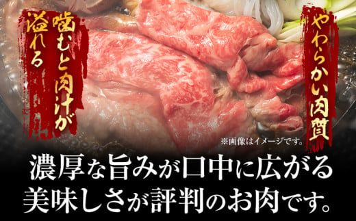 【厳選部位】博多和牛サーロインしゃぶしゃぶすき焼き用 500g