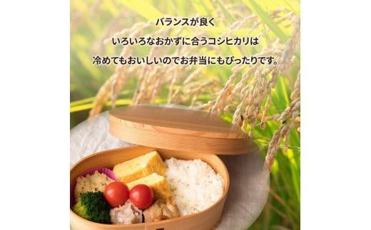 【先行予約】令和6年産米 土浦市産 コシヒカリ 精米5kg ｜ 茨城県土浦市のお米が収穫される旧新治村地区は、ホタルが舞うのどかな里です ※離島への配送不可　※2024年9月下旬～2025年8月上旬頃より順次発送予定