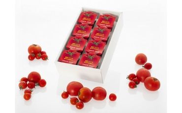 【食塩不使用】日向の雫 たっぷりトマトのプレミアムゼリー(8個入り） [興農宮崎 宮崎県 日向市 452060126]