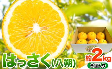 はっさく 6個 合計約2kg RITORIYOPARK 《2024年1月上旬‐4月下旬頃より順次出荷》 和歌山県 日高川町 八朔 はっさく 6個 2キロ 送料無料---wshg_rito_ab14_23_8000_6c---