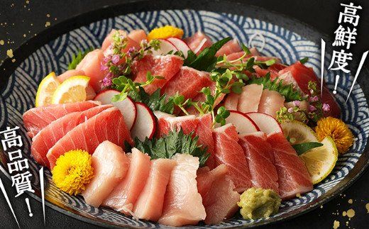 船元が直送! 厳選 天然 マグロ 3種 750g以上 | ミナミマグロ鮪250g メバチ鮪250g ビンチョウ鮪400g 南 目鉢 鬢長 セット まぐろ 食べ比べ みなみまぐろ めばちまぐろ びんちょうまぐろ ワケアリ わけあり 訳あり 刺身 さしみ 刺し身 冷凍 漬け 海鮮 丼 父の日 高知県 室戸市 ge002