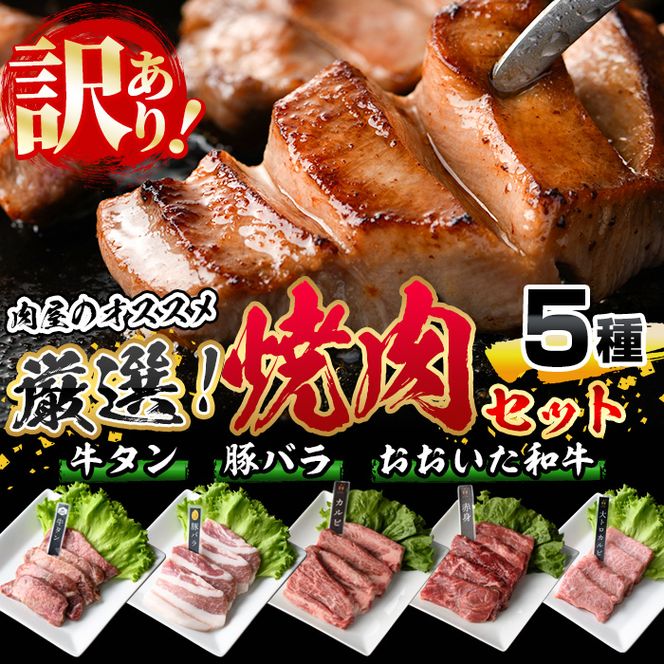 ＜訳あり＞厳選焼肉お試しセット (合計410g・5種) おおいた和牛 アイオワプレミアム 牛タン 米の恵み 豚バラ 焼肉 牛肉 肉 豚肉 赤身 カルビ 希少部位 低温熟成 和牛 ブランド牛 BBQ 冷凍 大分県 佐伯市【DH263】【(株)ネクサ】