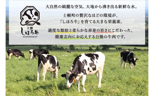 北海道 しほろ牛肉まん 2個入り 4セット 計8個 しほろ牛 おっきい 肉まん 中華まん 飲茶 点心 牛肉まん 中華 おやつ 蒸しまんじゅう 冷凍 お取り寄せ 送料無料 十勝 士幌 【L33】