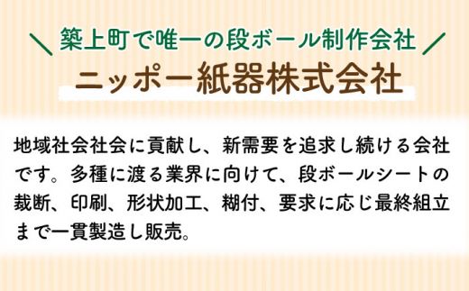 【組み立て簡単】ダンボール 使用！！ 猫ちゃんハウス & 爪とぎセット《築上町》【ニッポー紙器株式会社】[ABCI003]