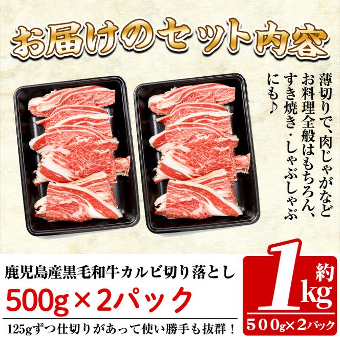 a328 鹿児島産黒毛和牛・カルビ切り落とし肉(計1kg・500g×2P)【財宝】国産 牛肉 切落し 薄切り 料理 冷凍 すき焼き しゃぶしゃぶ 肉じゃが