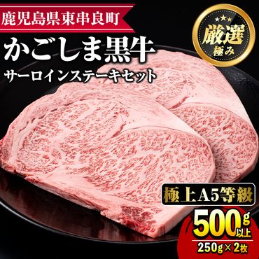 【30963】鹿児島県産黒毛和牛！A5等級サーロインステーキ(計500g・約250g×2枚)【前田畜産たかしや】