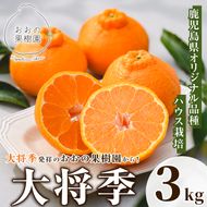 ＜先行予約受付中！2026年2月中旬以降順次発送予定＞数量限定！おおの果樹園の「大将季」(計3kg) 果物 フルーツ 果実 柑橘 ハウス栽培 無加温 みかん【おおの果樹園】akn087-03