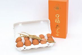 BA006 マツコの知らない世界で紹介！ 口福たまご（10個入） ※規格サイズMS以上〜LL未満 [ たまご 卵 おすすめ オススメ 低カロリー 高栄養価 ポリフェノール DHA ビタミンE アスタキサンチン 長崎県 島原市 ]