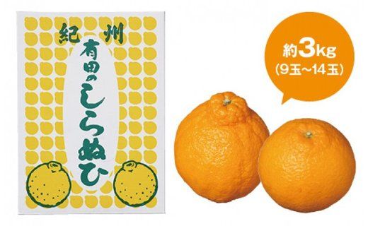 【厳選手選別】 たなか農園 有田のしらぬひ 約3kg（9玉～14玉）BU09