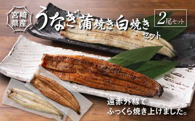 宮崎県産 うなぎ 白焼き 蒲焼き 2尾セット K10_0008_3 