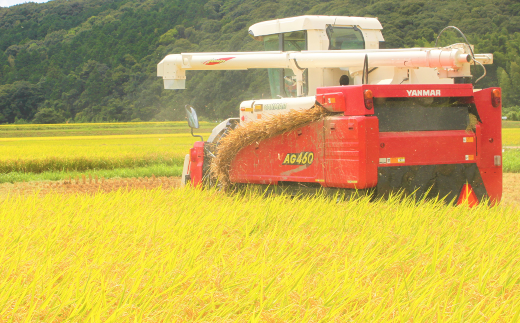 【令和7年産新米】【先行予約】ひかりファーム の ミルキークイーン - 玄米 - 10kg【2025年10月以降順次発送】《築上町》【ひかりファーム】 [ABAV012]