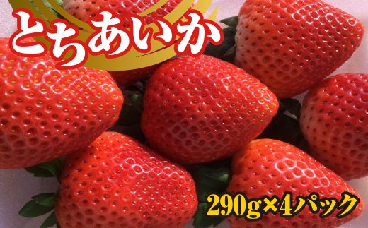 いちご（とちあいか） 290g×4パック 1.16kg以上｜先行予約 数量限定 栃木県 果物 くだもの フルーツ 苺 イチゴ ※2024年11月下旬頃～2025年3月下旬頃に順次発送予定