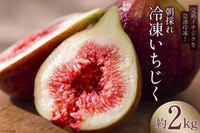 【期間限定発送】＜2025年10月頃より発送＞ 完熟 いちじく 2kg 冷凍 [モアショップヤマモト 石川県 宝達志水町 38600724] 冷凍いちじく イチジク 無花果 果物 くだもの フルーツ デザート ジャム コンポート スムージー シャーベット 石川県産