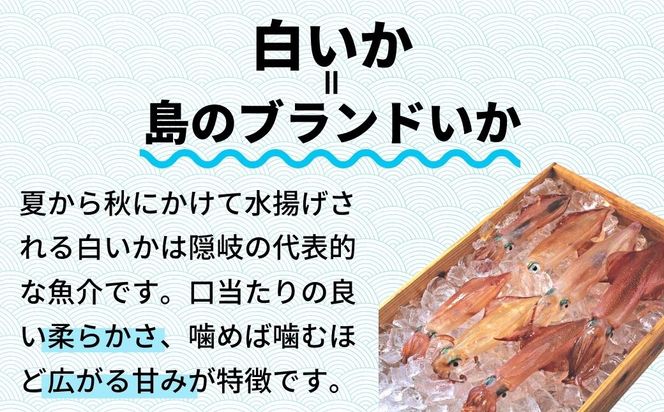 【島獲れ白いか】ブランドイカ 白いか130g 4杯セット