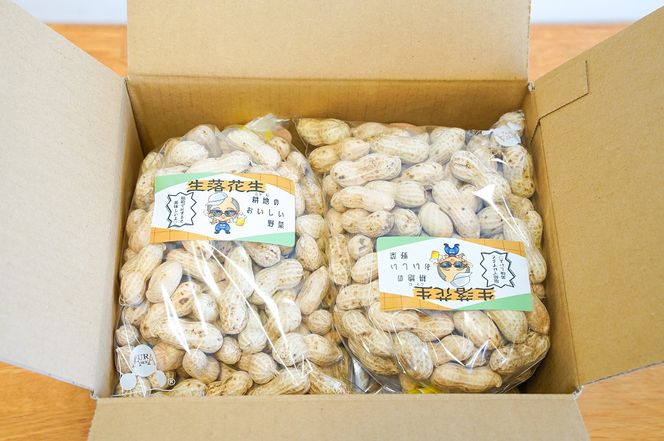 生落花生 さとのか 2kg 高鮮度保持フィルム使用 耕地の美味しい野菜シリーズ第5弾 H132-029