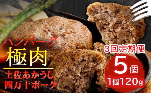 土佐あかうしと四万十ポークのハンバーグ5個セット[3回定期便]_yj082