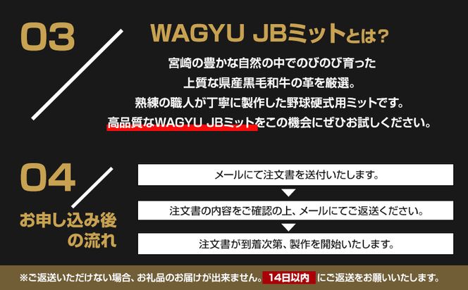 宮崎県産牛革使用 WAGYU JB硬式用オーダーミット_M147-046_01