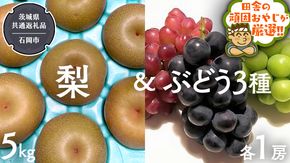 梨5kg と ぶどう 3品種（各1房）【8月より発送開始】（茨城県共通返礼品 [梨]：石岡市産　[ぶどう]：かすみがうら市産） 詰め合わせ 果物 フルーツ 茨城県産 [BI465-NT]