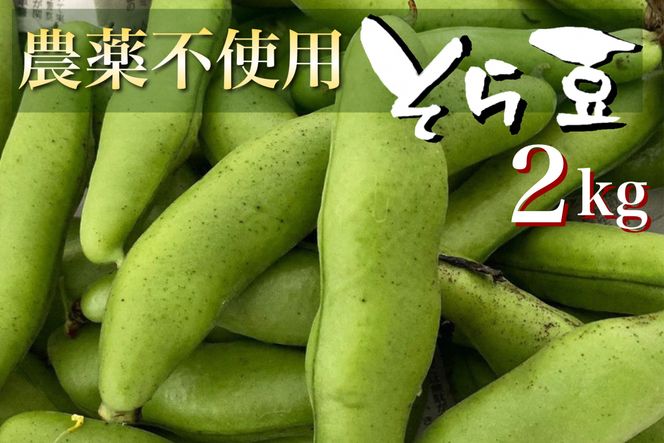 ys{TszÁ` 瓤 2kgyԌzs{ETY R͔|̂ƃI[KjbNt@[肨͂ 2026N5{`6{ɏ\ ւ̔zs