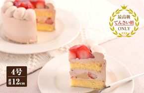 099H2837 生チョコデコレーション （冷凍ケーキ） 12cm×1台【洋菓子 スイーツ おやつ てんさい糖 冷凍ケーキ】