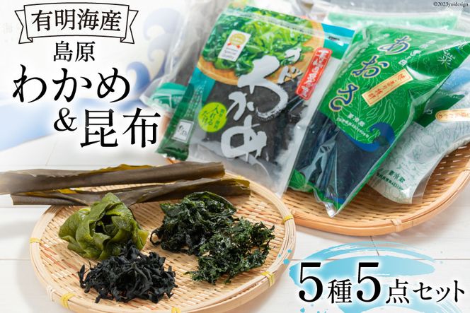 y茧szFB017 킩  z LC̊COZbg[킩 z Ru Zbg Jbg킩 kcY 茧 s]