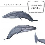 158-1054-007　メガソフビアドバンス シロナガスクジラ＜海洋堂＞