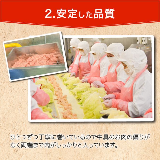 国産豚で作ったロールキャベツ(10袋セット)[022J04]