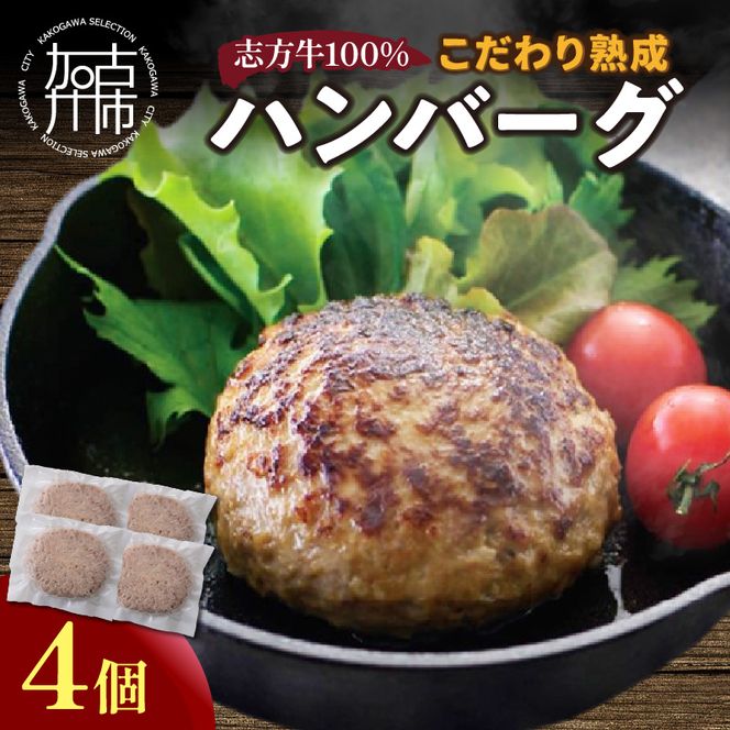 yɌÐszyYzu100%̂nno[O150g×4y2400I05940z