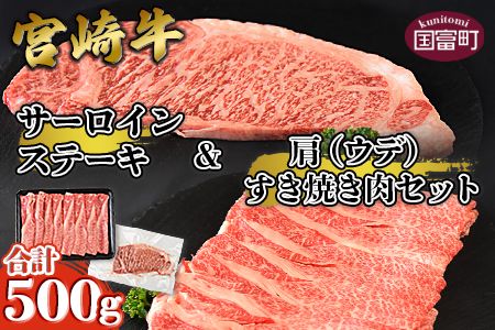 ＜宮崎牛サーロインステーキ ＆ 宮崎牛肩（ウデ）すき焼き肉セット 合計500g＞翌月末迄に順次出荷【a0381_ty】