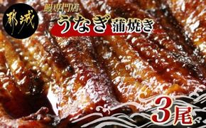 鰻専門店・職人手焼きの本格うなぎ蒲焼き3尾_AC-3301