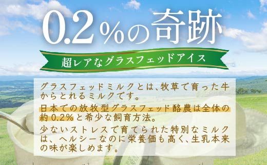 【世界のシェフ監修】北海道美幌峠牧場のグラスフェッドアイスセット（プレーン、ピスタチオ）110ml 12個入り BHRP004