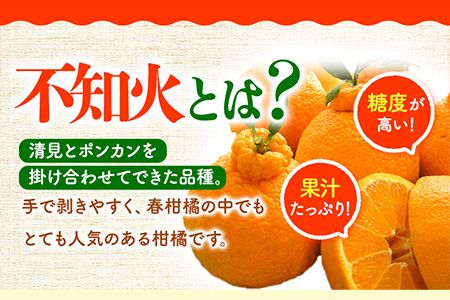 【先行受付】【家庭用】不知火 ( デコポン )と同品種 約 10kg 長岡農園《2月中旬-4月上旬頃出荷》 和歌山県 日高川町 ご家庭用---wshg_ngk11_2c4j_24_16000_10kg---