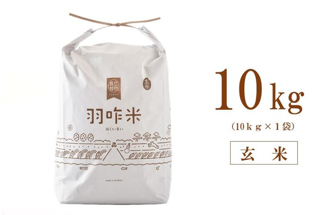 [A124] 【無農薬】【玄米】能登のこだわり自然栽培こしひかり『羽咋米』 １０kg（１０kg×１袋）
