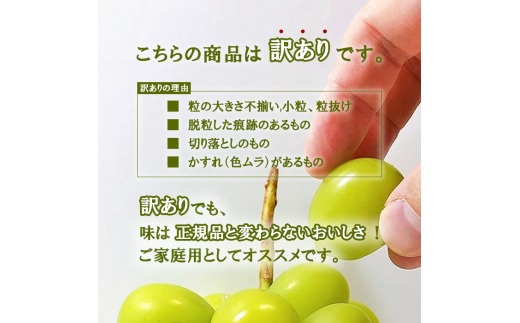 ふるさと納税 ＜2024年 先行予約＞本場 山梨 訳あり 不揃い シャイン ぶどう 葡萄 シャインマスカット 2～3房 約1kg 山梨県 笛吹市 高評価 産地直送 ランキング お取り寄せ ご自宅用 ご家庭用 ギフト プレゼント フルーツ 154-027