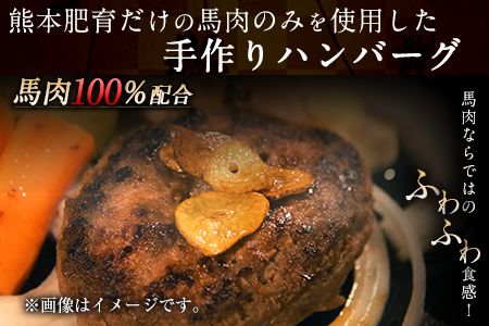手作りハン馬ーグ 100g×10個 馬肉100%配合！【熊本肥育】ハンバーグ たっぷり 冷凍 お中元 肉 お手軽 お取り寄せ《30日以内に出荷予定(土日祝除く)》---gkt_fkgumburg_30d_23_12000_10k---