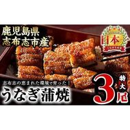 うなぎの大楠＜特大＞3尾セット計510g(170g×3) b3-005