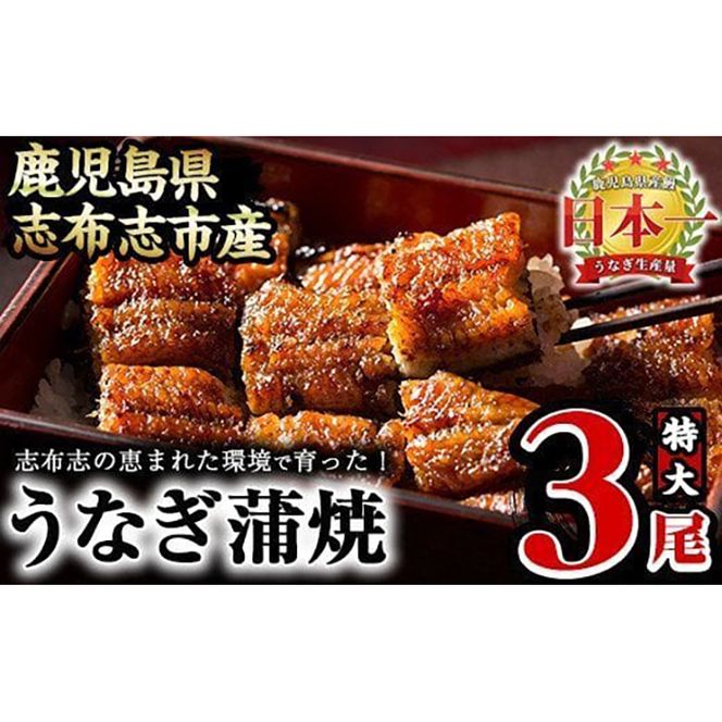 yuzuszȂ̑큃偄3Zbgv510g(170g×3) b3-005