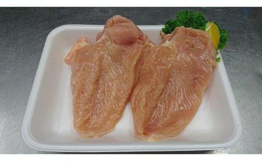 紀の国みかんどり　一匹セット