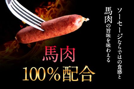 馬肉100%ソーセージ 2kg (500g×4袋) 肉 馬肉 ソーセージ 2kg 南阿蘇村《1-5営業日以内に出荷予定(土日祝除く)》---mna_fkgumasose_s_23_15000_2kg---