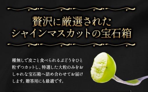 【先行予約】シャインマスカット 岡山 ギフト たたらみねらる 煌めく果粒の宝石箱《2026年8月下旬-10月下旬頃出荷予定》 Y&G.ディストリビューター株式会社 糖度18度以上 甘い 種無し 獲れたて ぶどう ブドウ 葡萄 マスカット---1-43a---