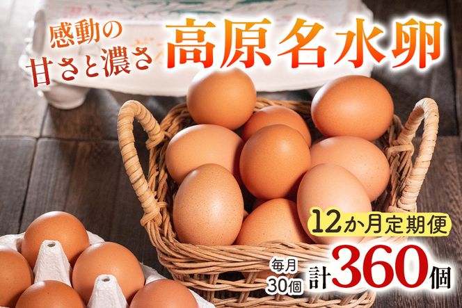 yȖ،sz[ց^12]  30×12A LȎRňAX^LT`ܗL̍ẙÂƔZzb藑 ܂ ^}S ʎq  { {{ sY