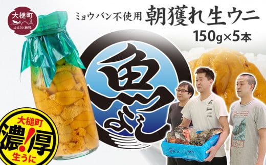 [令和7年4月下旬〜8月発送先行予約]朝獲れ 生うに(ミョウバン 不使用)牛乳瓶150g×5本 [配送日指定不可][0tsuchi00915-2024-9][08]