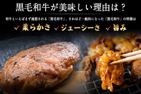 黒毛和牛漬け込みホルモン・ハンバーグセット（計7袋） 絶品 ブランド牛 黒毛和種 有限会社トップルーフ《60日以内に出荷予定(土日祝除く)》---so_ftopkhrhm_60d_21_27000_1150g---